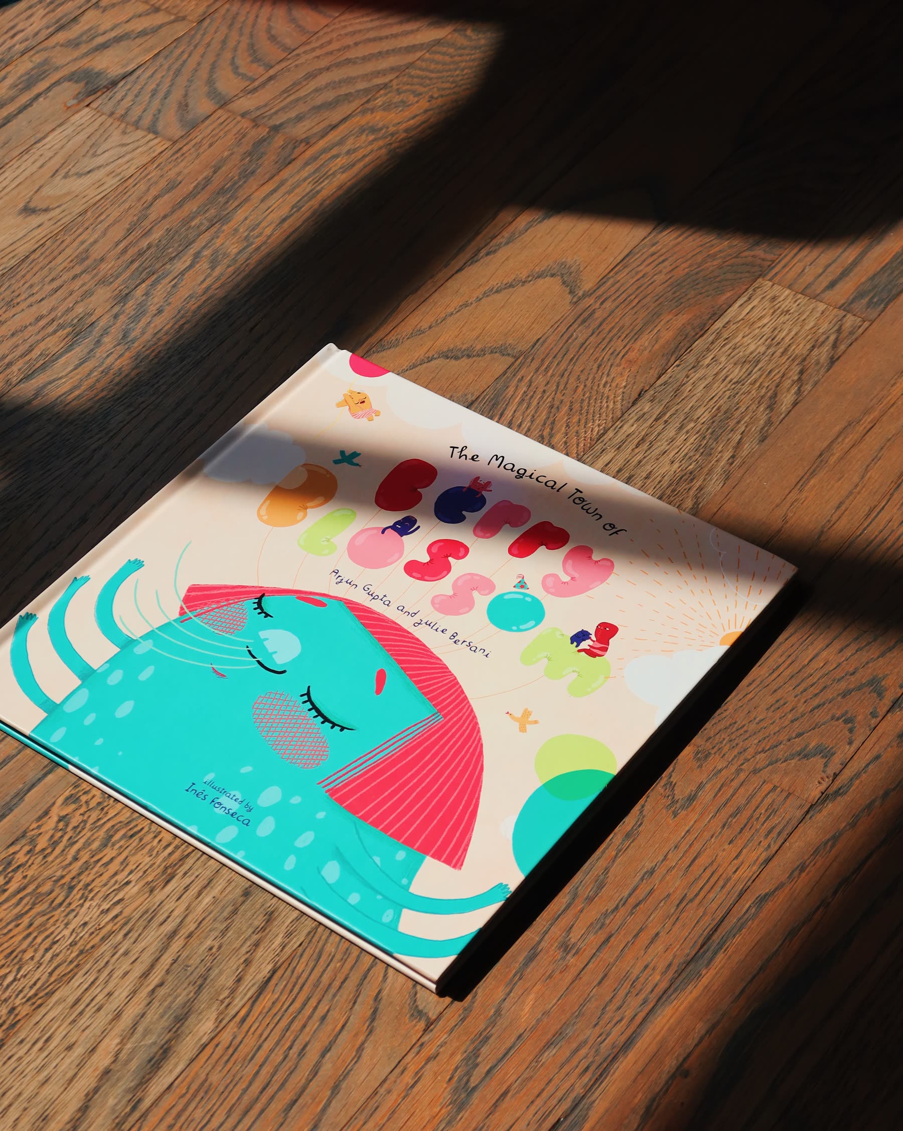 The hardcover at an angle on a wooden floor, catching low afternoon light